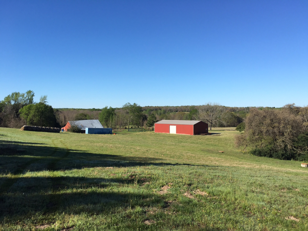 View RE/MAX Advanced Real Estate Buffalo TX's Homes for Sale RE/MAX