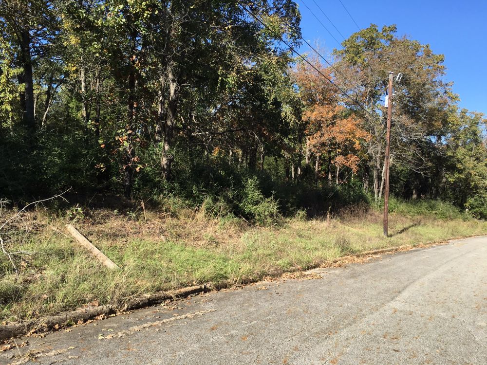 View RE/MAX Advanced Real Estate Buffalo TX's Homes for Sale RE/MAX