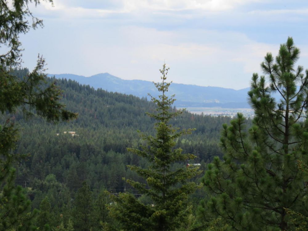 View Cindy Sweeney's Homes for Sale Cindy Sweeney Coeur d'Alene