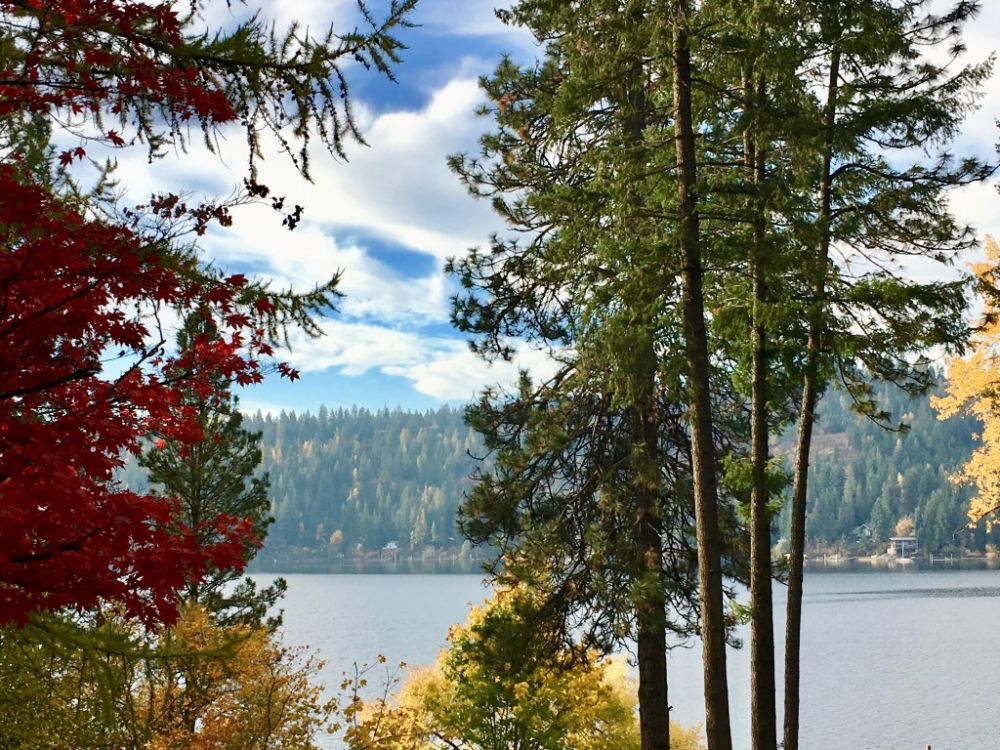 View Cindy Sweeney's Homes for Sale Cindy Sweeney Coeur d'Alene