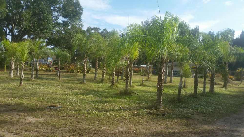 View Property US 192, Melbourne, FL 32955 Posey & Co. Realtors