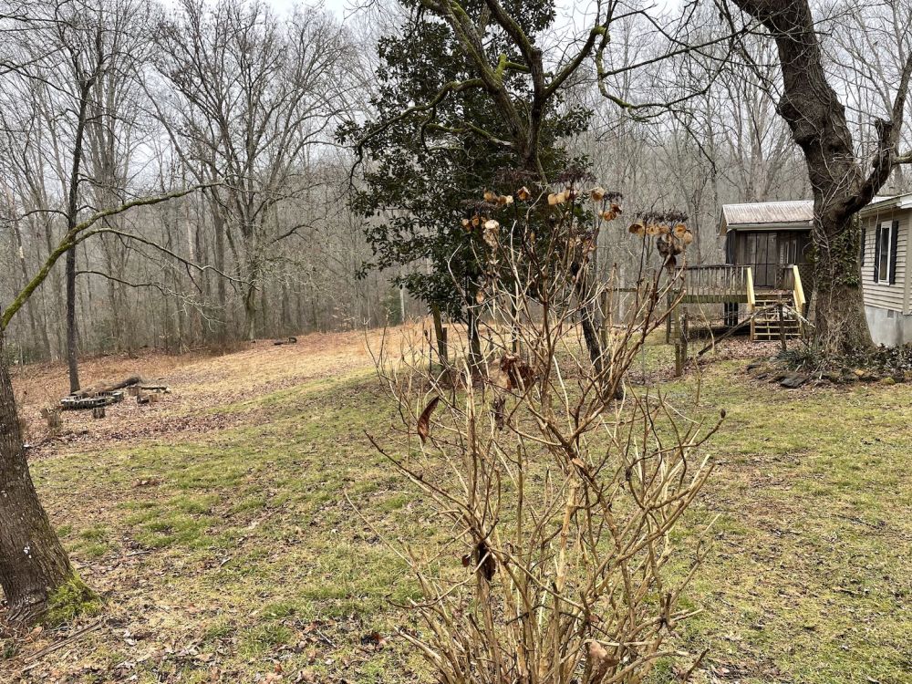 View Property Chestatee Dahlonega Property Management And Real Estate