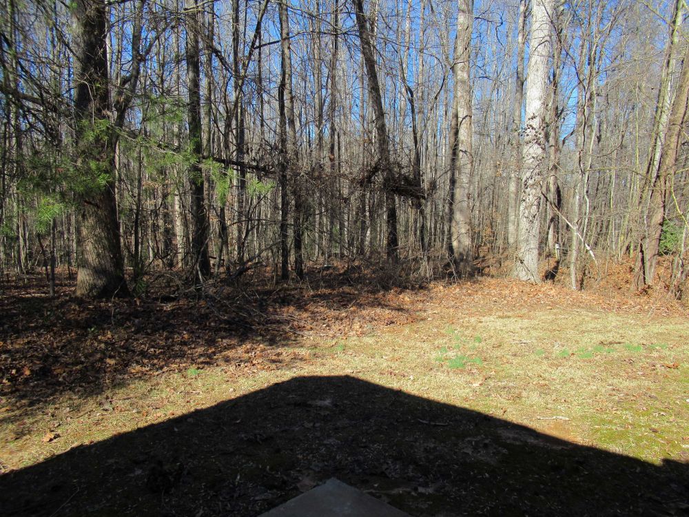 View Property Chestatee Dahlonega Property Management And Real Estate